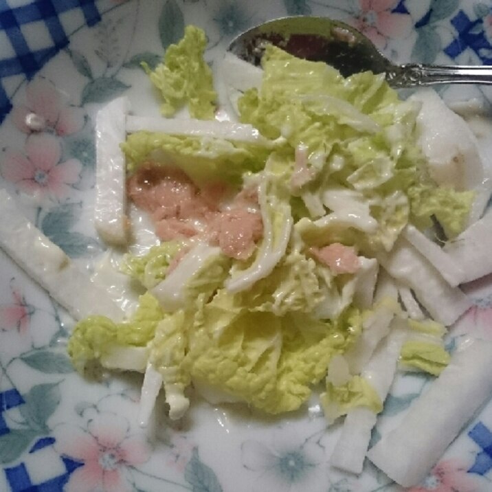 大根と白菜のツナサラダ